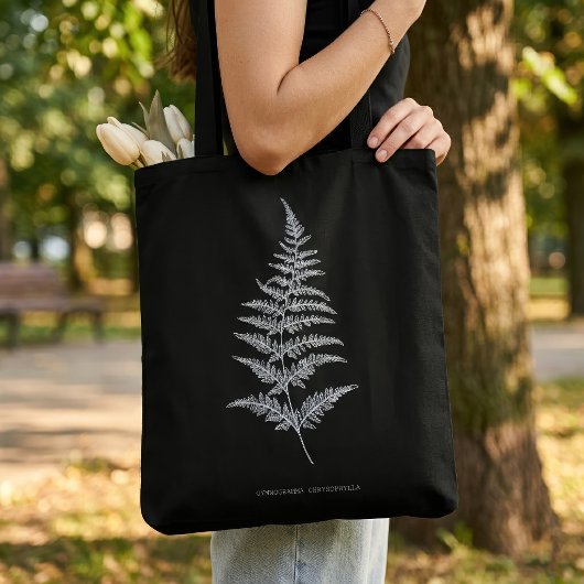 Fern - Gymnogramma Chrysophylla. Röntgeneffekt - 0 Tasche