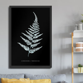 Fern - Gymnogramma L’herminieri. Röntgeneffekt - 0 Poster