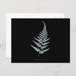 Fern - Gymnogramma L’herminieri. Röntgeneffekt - 0 Postkarte