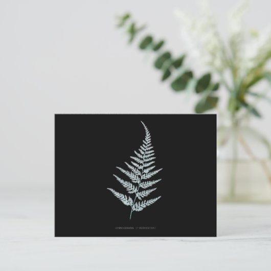 Fern - Gymnogramma L’herminieri. Röntgeneffekt - 0 Postkarte (Stehend Vorderseite)
