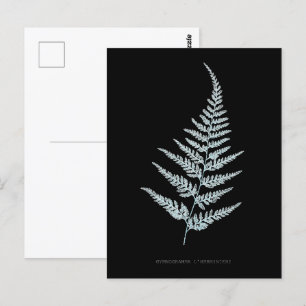 Fern - Gymnogramma L’herminieri. Röntgeneffekt - 0 Postkarte