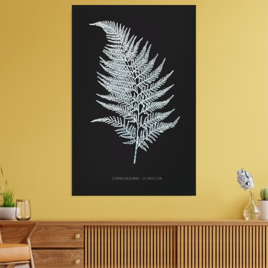 Fern - Gymnogramma Ochracea - Röntgenwirkung - 02 Leinwanddruck (Insitu (Wohnzimmer))