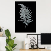 Fern - Gymnogramma Ochracea - Röntgenwirkung - 02 Poster (Heimbüro)