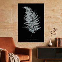 Fern - Gymnogramma Ochracea - Röntgenwirkung - 02