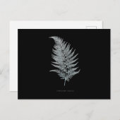 Fern - Gymnogramma Ochracea - Röntgenwirkung - 02 Postkarte (Vorne/Hinten)