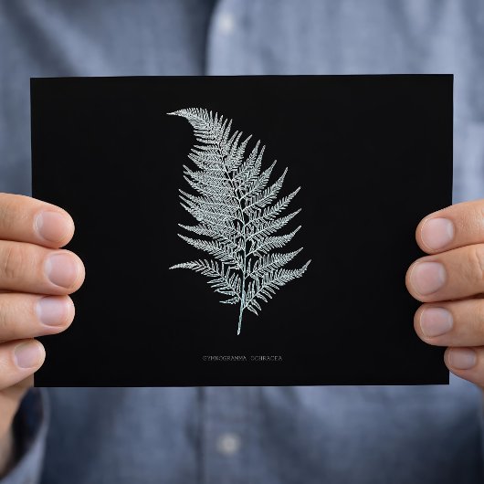Fern - Gymnogramma Ochracea - Röntgenwirkung - 02 Postkarte