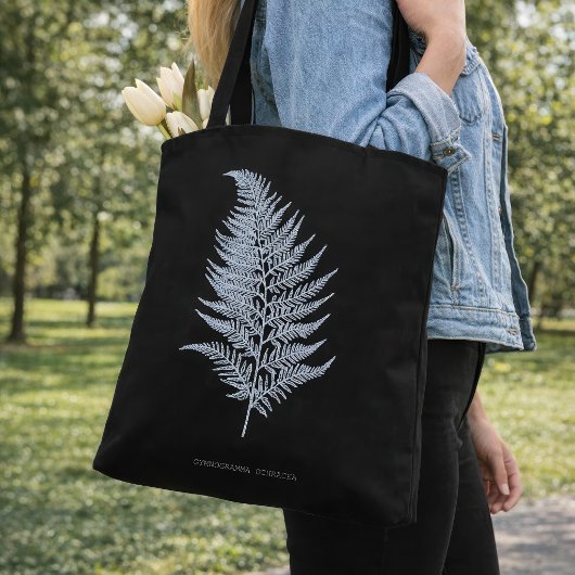 Fern - Gymnogramma Ochracea - Röntgenwirkung - 02 Tasche