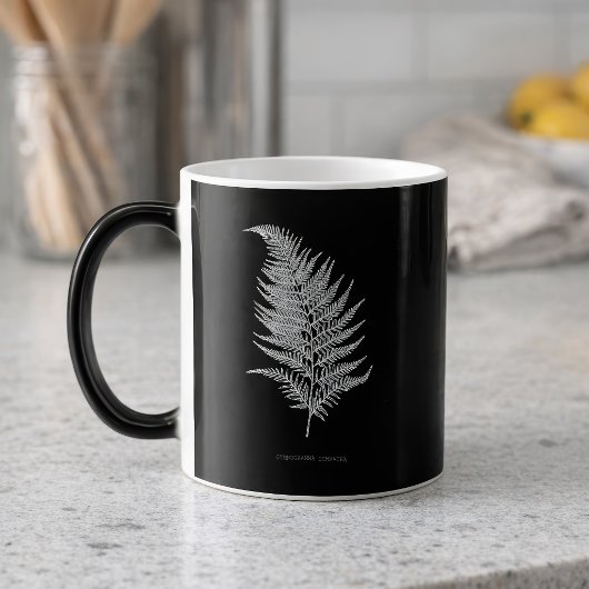 Fern - Gymnogramma Ochracea - Röntgenwirkung - 02 Verwandlungstasse