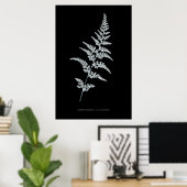 Fern - Gymnogramma Sulphurea - Röntgenwirkung - 03 Poster (Heimbüro)