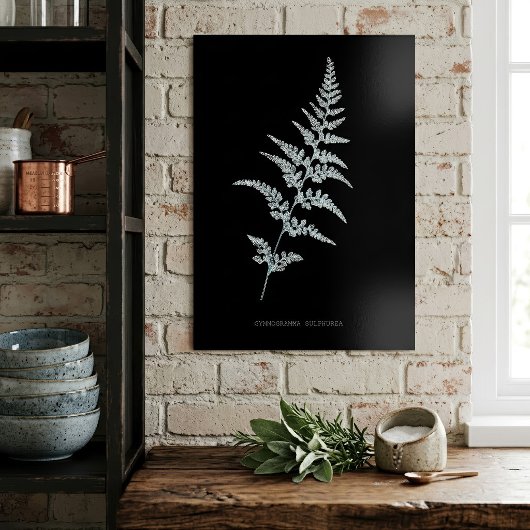 Fern - Gymnogramma Sulphurea - Röntgenwirkung - 03 Poster