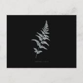 Fern - Gymnogramma Sulphurea - Röntgenwirkung - 03 Postkarte (Vorderseite)