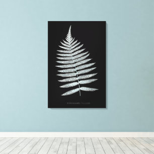 Fern - Gymnogramma Villosa - Röntgeneffekt - 06 Leinwanddruck