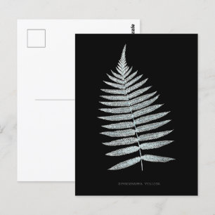 Fern - Gymnogramma Villosa - Röntgeneffekt - 06 Postkarte