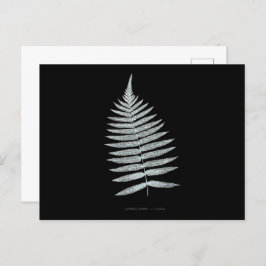 Fern - Gymnogramma Villosa - Röntgeneffekt - 06 Postkarte