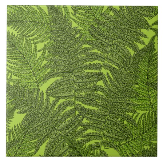Fern in grün fliese (Vorderseite)