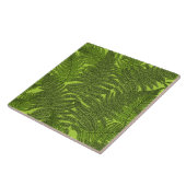 Fern in grün fliese (Seite)