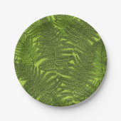Fern in grün pappteller (Vorderseite)