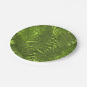 Fern in grün pappteller (Schrägansicht)