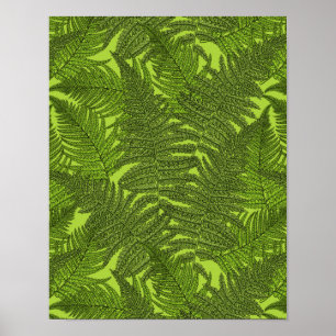 Fern in grün poster
