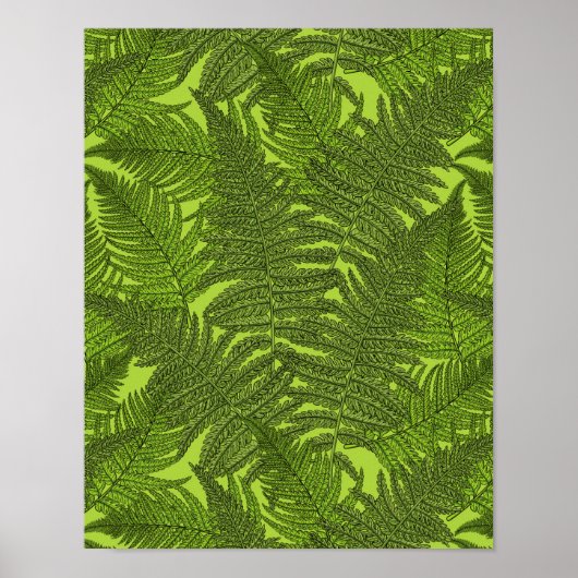 Fern in grün poster (Vorne)