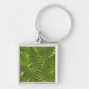Fern in grün schlüsselanhänger