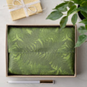 Fern in grün seidenpapier (Geschenk)