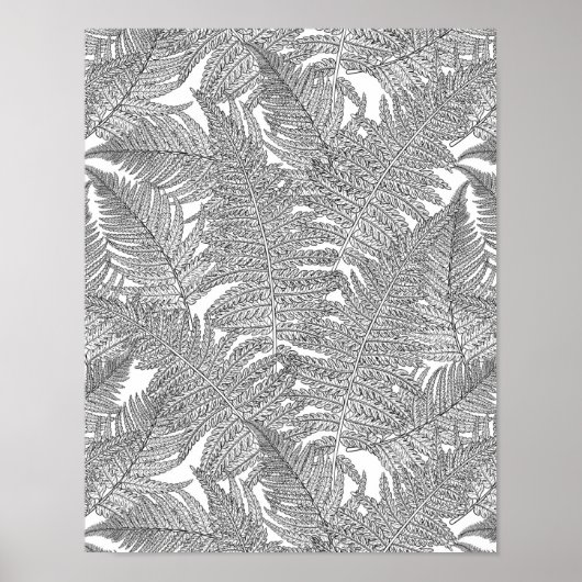 Fern in Schwarz und Weiß Poster (Vorne)
