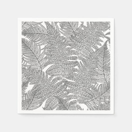 Fern in Schwarz und Weiß Serviette (Vorderseite)