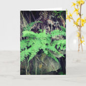 Fern Jeden Anlasses Karte (Gelbe Blume)