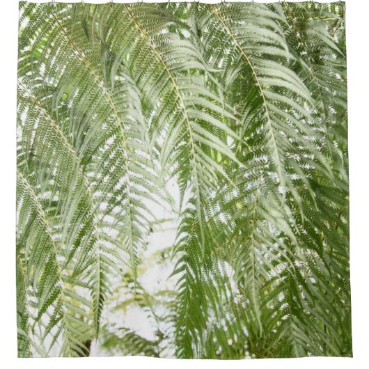 Fern Jungle #1 #botanisch #wall #art Duschvorhang (Vorderseite)