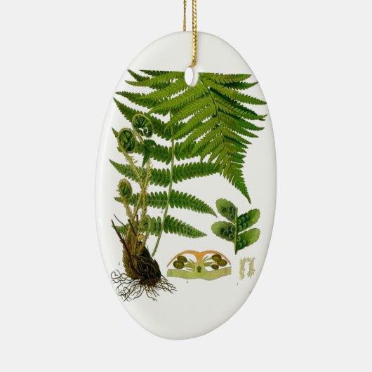 Fern Keramik Ornament (Rechts)