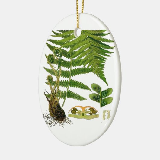 Fern Keramik Ornament (Links)