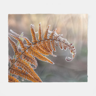 Fern Leaf mit Eisfrost in kalter Winternatur - Fleecedecke