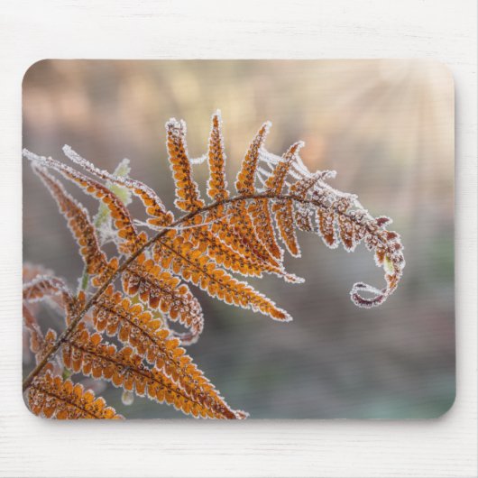 Fern Leaf mit Eisfrost in kalter Winternatur - Mousepad (Vorne)