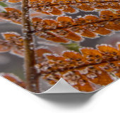 Fern Leaf mit Eisfrost in kalter Winternatur - Poster (Ecke)