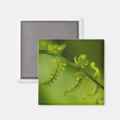 Fern Magnet (Vorderseite/Rückseite)