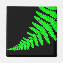 Fern Magnet