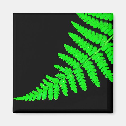 Fern Magnet (Vorne)