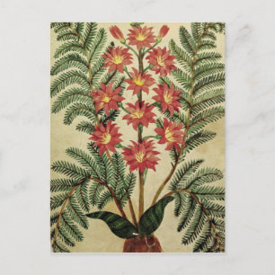 Fern mit roten und gelben Blumen Postkarte
