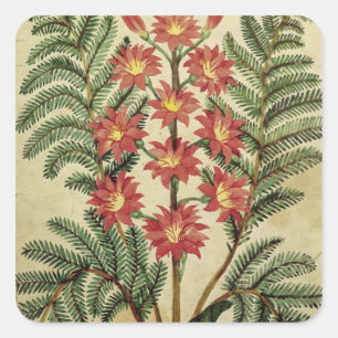 Fern mit roten und gelben Blumen Quadratischer Aufkleber