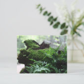 Fern & Moss Postkarte (Stehend Vorderseite)