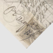 Fern Moth Apothecary Decoupage Tissue Paper Seidenpapier (Ausschnitt)