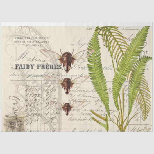 Fern Moth Apothecary Decoupage Tissue Paper Seidenpapier (Vorderseite)