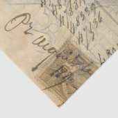 Fern Moth Apothecary Decoupage Tissue Paper Seidenpapier (Ausschnitt)