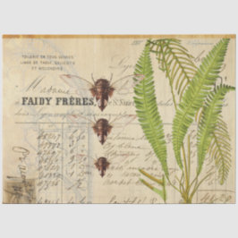 Fern Moth Apothecary Decoupage Tissue Paper Seidenpapier
