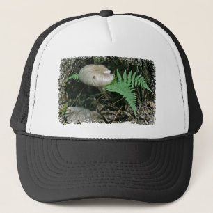 Fern & Mushroom at Stump Coordinating Items Truckerkappe