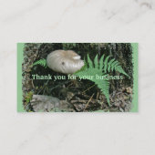 Fern & Mushroom zur "Stump Business Card" Visitenkarte (Rückseite)
