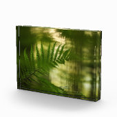 Fern Nature Foto (Rechts)