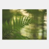 Fern Nature Foto Geschenkpapier Set (Vorderseite 2)