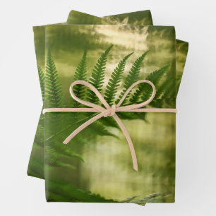 Fern Nature Foto Geschenkpapier Set